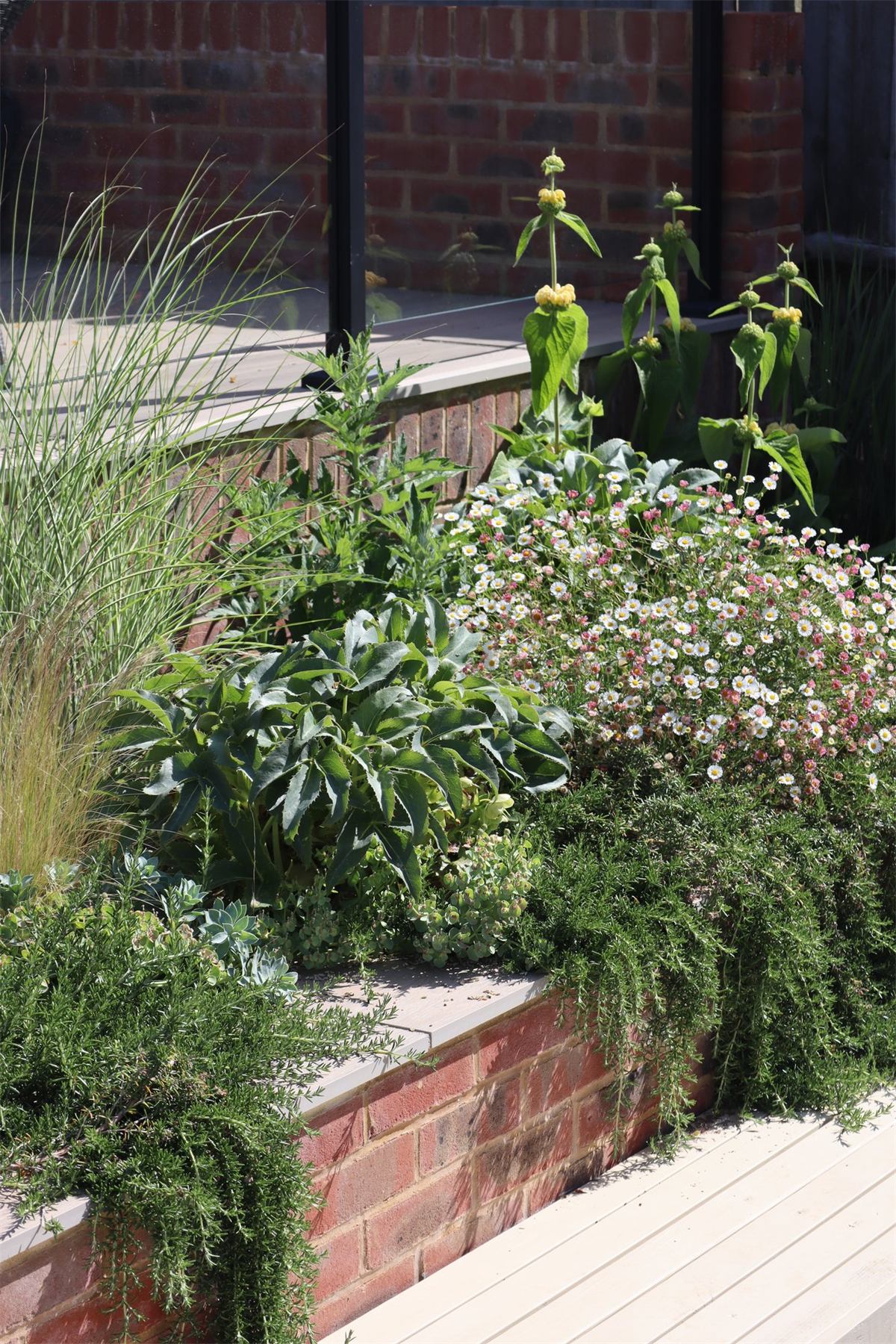 Rottingdean Garden Design