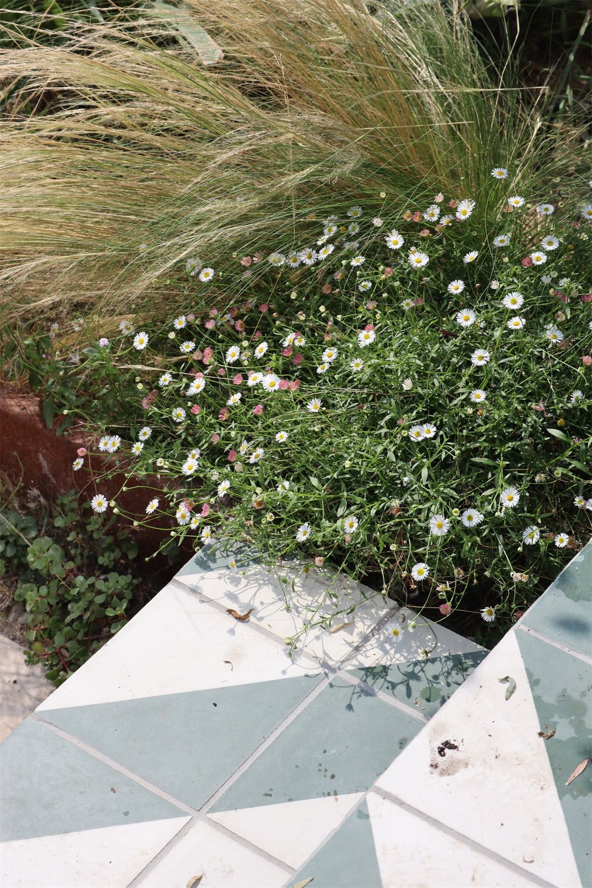 Horsham Garden Design